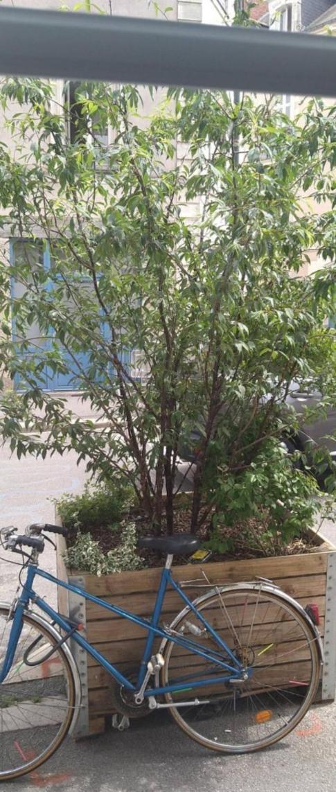 Appartement De Ville Nantes Dış mekan fotoğraf